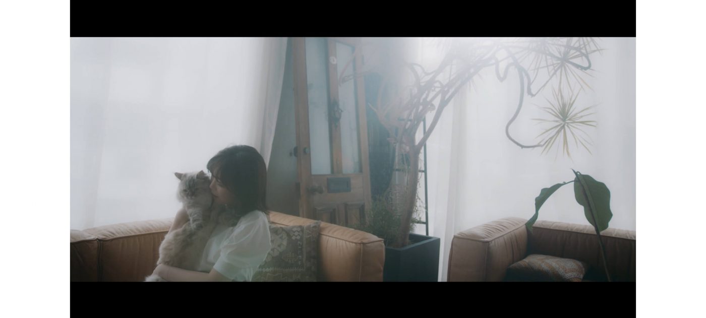 愛猫の“きなこ”も初出演！ 伶、新曲「キミとならいいよ。」MVを本日21時にプレミア公開