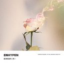 ENHYPEN、日本デビューシングル「BORDER : 儚い」がオリコンデイリー1位の好発進 - 画像一覧（1/3）