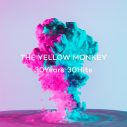 THE YELLOW MONKEY、伝説のツアーの全貌を捉えた写真集が発売決定 - 画像一覧（4/4）