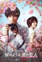 中島健人×松本穂香共演！ Netflix映画『桜のような僕の恋人』キービジュアル＆追加キャスト公開 - 画像一覧（1/2）