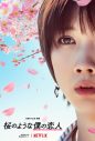 主演・中島健人×松本穂香。Netflix映画『桜のような僕の恋人』、主題歌がMr.Childrenの「永遠」に決定 - 画像一覧（1/3）