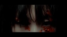 Co shu Nie、2ndアルバム『Flos Ex Machina』収録曲「迷路 ～本編～」のMV公開 - 画像一覧（20/22）