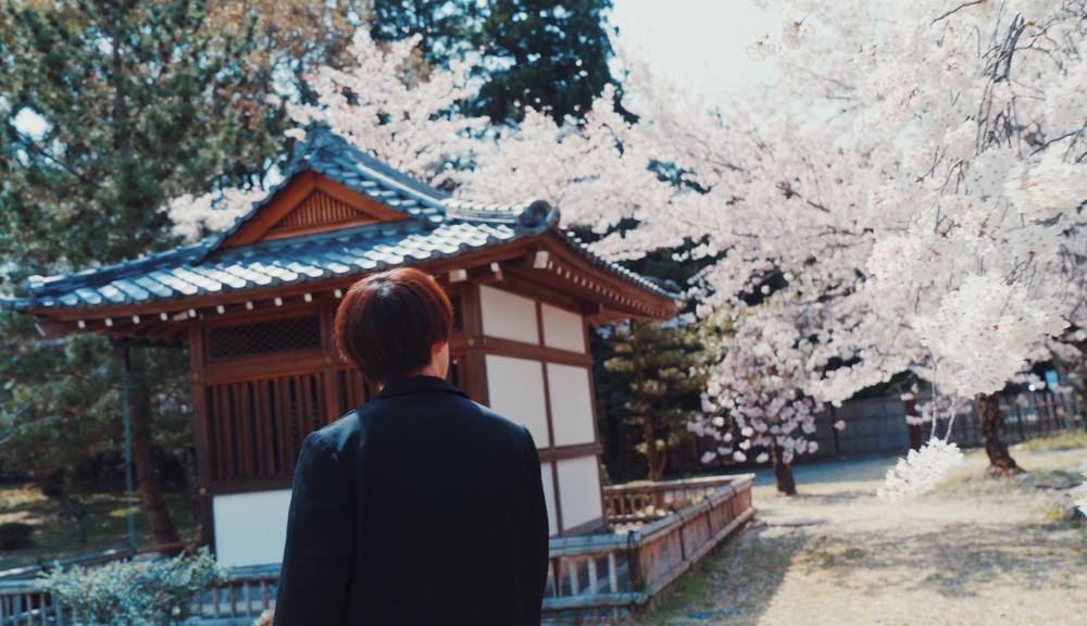 Qyoto、桜が咲き誇る春の京都・真如堂＆大覚寺で撮影した「花時雨」MV公開 - 画像一覧（12/14）
