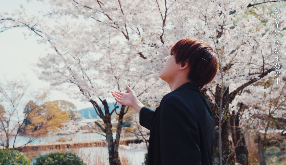 Qyoto、桜が咲き誇る春の京都・真如堂＆大覚寺で撮影した「花時雨」MV公開 - 画像一覧（9/14）