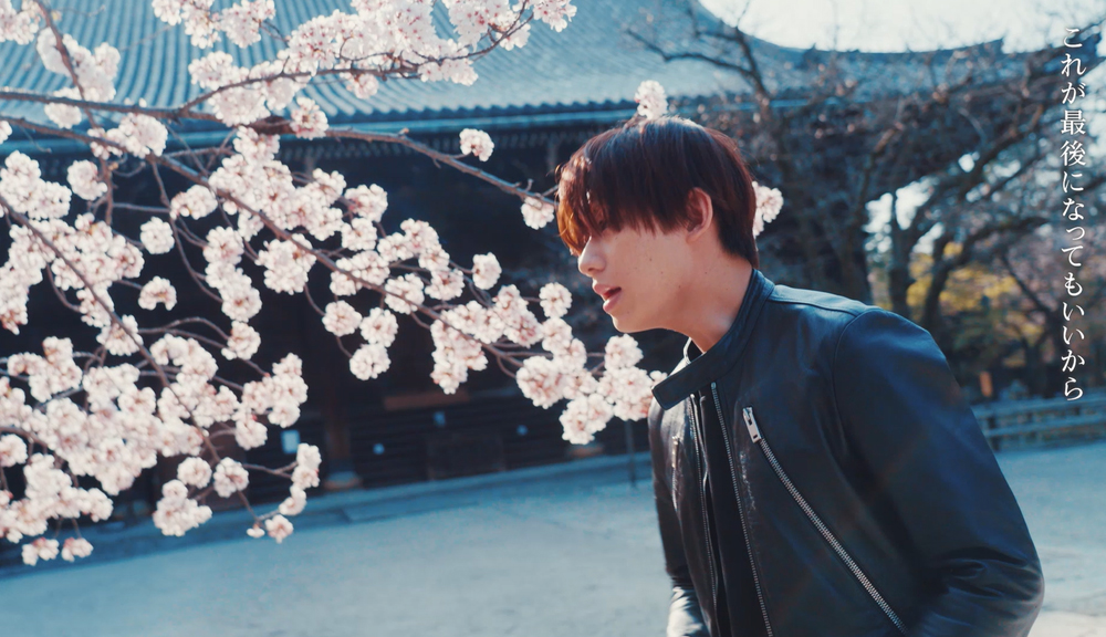 Qyoto、桜が咲き誇る春の京都・真如堂＆大覚寺で撮影した「花時雨」MV公開 - 画像一覧（7/14）