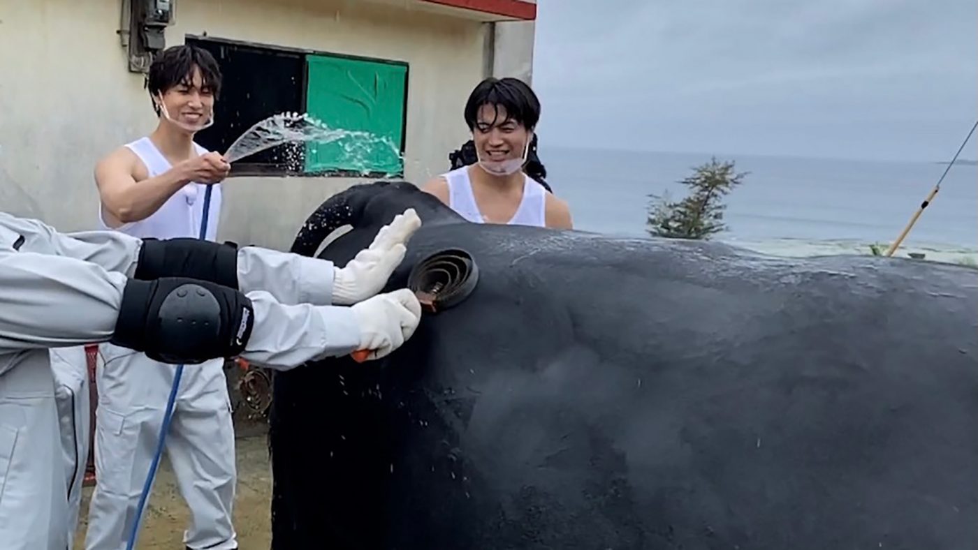 FANTASTICS、冠番組『ふるさとファンタ』でメンバー4人が闘牛に挑戦