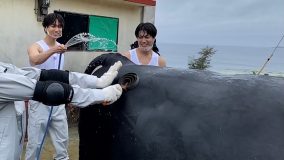 FANTASTICS、冠番組『ふるさとファンタ』でメンバー4人が闘牛に挑戦