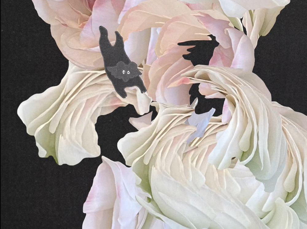 ササノマリイ、『iichiko story ep.2 「野の花は海へ」』テーマ曲「きっと変わらない色」MV公開 - 画像一覧（4/5）