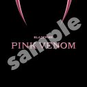 BLACKPINK、新曲「Pink Venom」の予約注文がスタート！ ニュービジュアルも続々と公開 - 画像一覧（6/6）