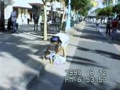 CHICO CARLITO、幼少期の映像と母への感謝を詰め込んだ「Sandra’s Son」MV公開 - 画像一覧（7/9）