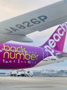 back number、航空会社Peachとコラボ！ back numberジェットが運航開始 - 画像一覧（2/4）