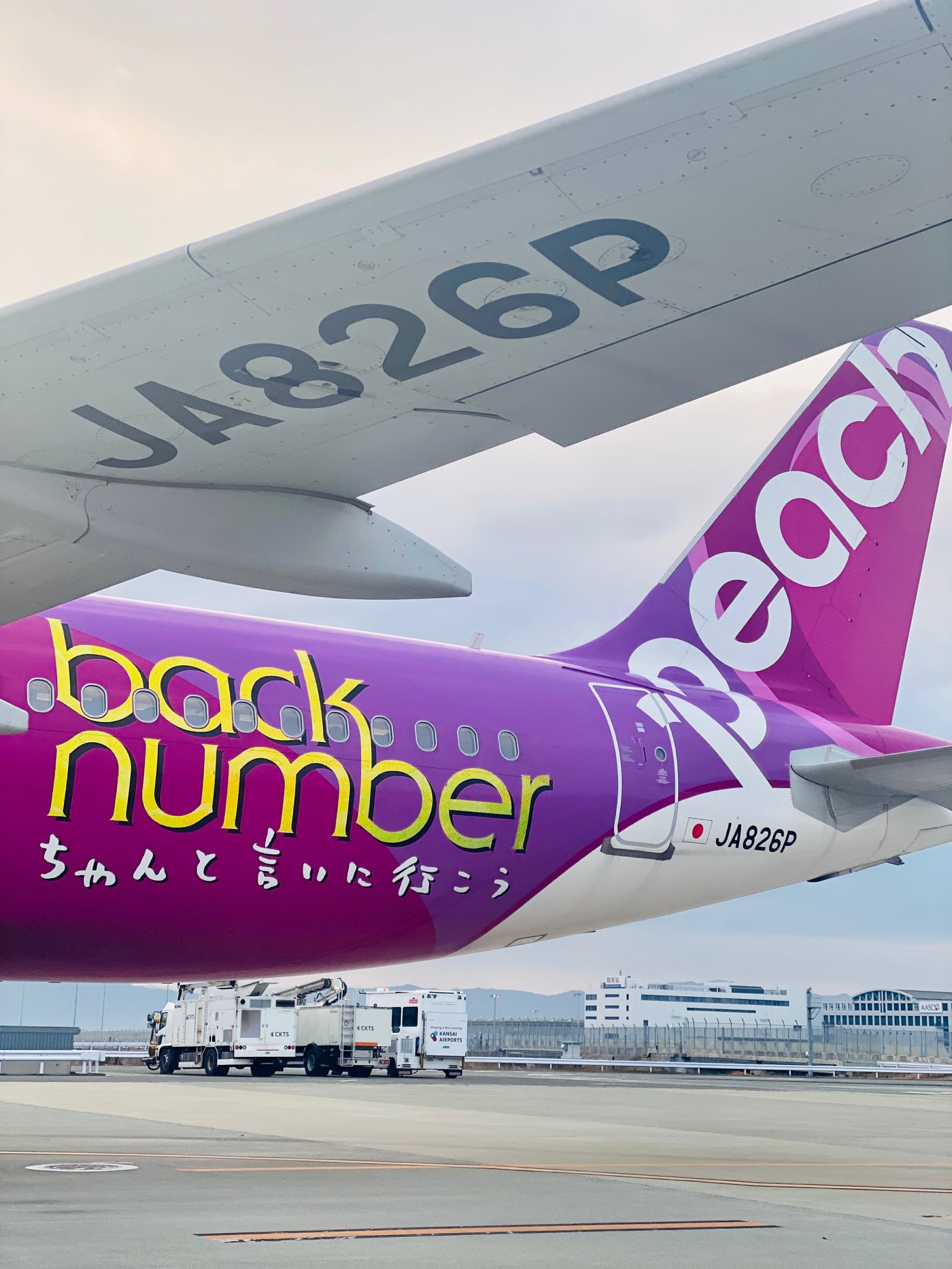 back number、航空会社Peachとコラボ！ back numberジェットが運航開始