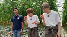FANTASTICS、福島の夏野菜に大感激！「野菜を作る農家の方々をリスペクトする時間にもなりました」（八木勇征） - 画像一覧（12/16）