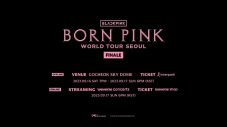 BLACKPINK、ワールドツアーのハイライトを盛り込んだ映像を公開 - 画像一覧（3/5）