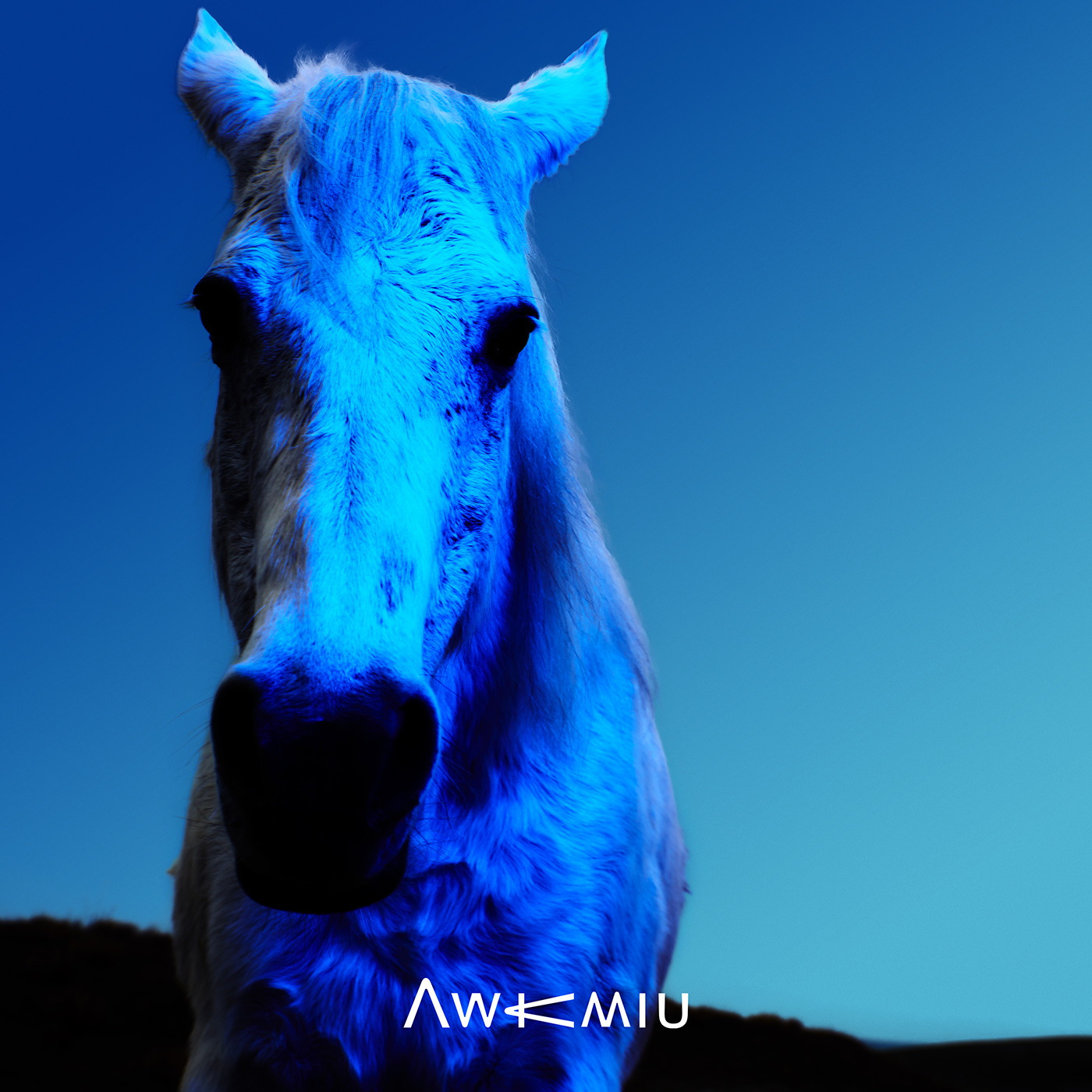 【解説】Awkmiu（オークミュー）とは？メンバー本人談から紐解く、詳細プロフィールや人気曲「アロー」、新譜『されど空の青さを知る』について - 画像一覧（10/11）