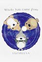 ロザリーナが優しい世界を唄う！『映画 おでかけ子ザメ とかいのおともだち』主題歌「where you come from」リリース決定 - 画像一覧（5/6）