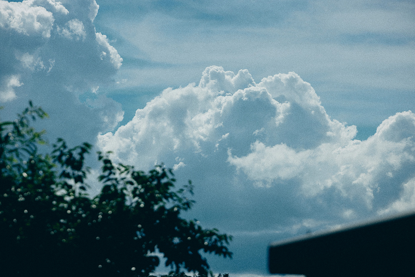 Mrs. GREEN APPLE“キリン 午後の紅茶”CMソング「夏の影」のMVティザーフォト #1公開