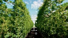 目黒蓮がホップ農家の畑仕事に初挑戦！「キリンビール 晴れ風」 新TVCM「晴、風、土。」収穫篇放映開始 - 画像一覧（4/4）