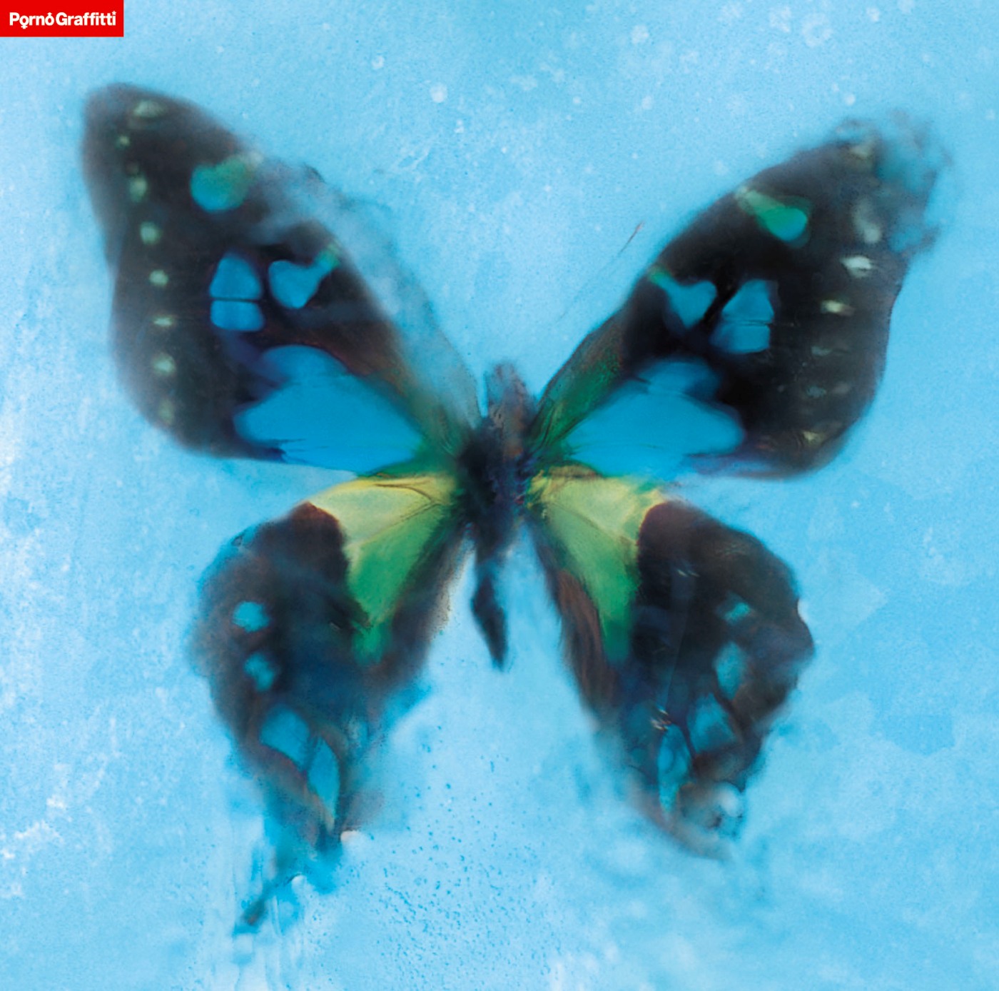 【歌詞解説】ポルノグラフィティ「アゲハ蝶」が世代を超えて歌われる理由とは？改めて聴きたい名曲紹介も - 画像一覧（2/2）