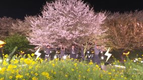 STARGLOWが桜並木を舞台にパフォーマンス！『CDTVライブ！ライブ！』で披露した「USOTSUKI」の映像を期間限定公開
