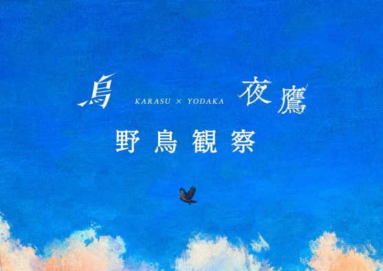 米津玄師、特設サイト「烏×夜鷹　野鳥観察」公開！米津自身が「精神的な双子」と語る2曲がひとつの空で巡り合う