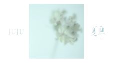 JUJU、比嘉愛未主演ドラマ『ファーストクライ 母子救命救急班』主題歌「夏蝉」Official Audio公開 - 画像一覧（1/2）