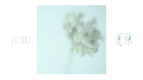 JUJU、比嘉愛未主演ドラマ『ファーストクライ 母子救命救急班』主題歌「夏蝉」Official Audio公開