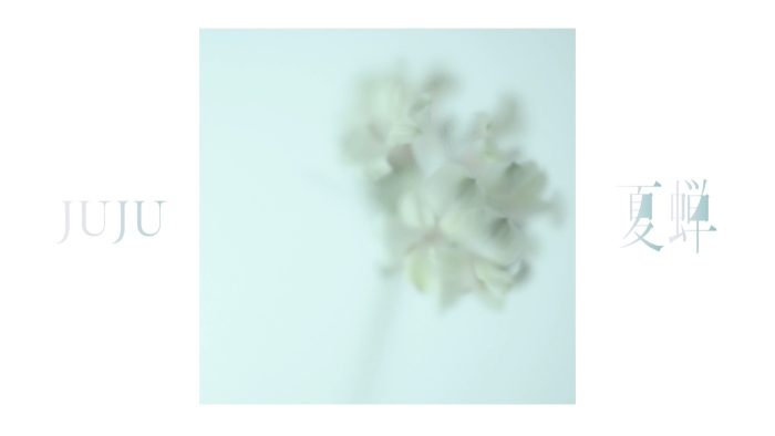 JUJU、比嘉愛未主演ドラマ『ファーストクライ 母子救命救急班』主題歌「夏蝉」Official Audio公開