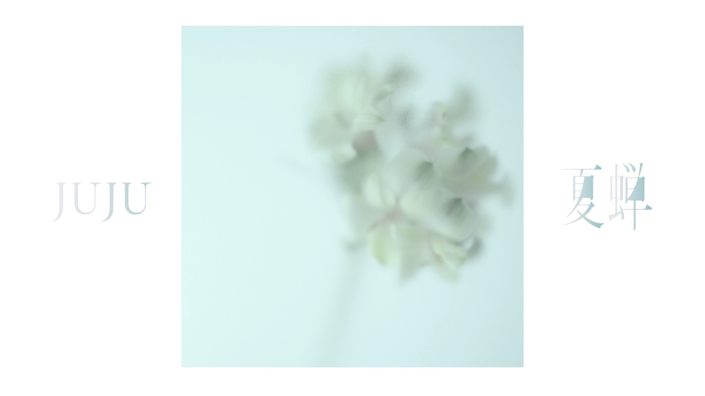 JUJU、比嘉愛未主演ドラマ『ファーストクライ 母子救命救急班』主題歌「夏蝉」Official Audio公開