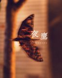 米津玄師“折り夜鷹”公開！モチーフは『キングダム 魂の決戦』主題歌「夜鷹」のジャケット絵柄