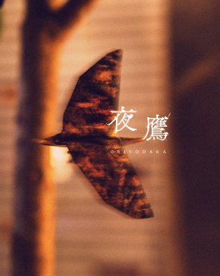 米津玄師“折り夜鷹”公開！モチーフは『キングダム 魂の決戦』主題歌「夜鷹」のジャケット絵柄