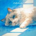 seiza新曲「Cattitude」配信リリース決定！猫のように気まぐれな好きな人への想いを紡ぐ楽曲 - 画像一覧（2/2）