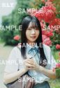 日向坂46渡辺莉奈、乃木坂46川端晃菜、櫻坂46山田桃実ら7人の現役女子高校生アイドルが裏表紙を飾る - 画像一覧（16/24）