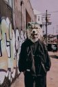 MAN WITH A MISSION、約5年ぶりとなるフィジカルシングル「Firestarter」発売＆新曲「ONE」の先行配信を発表 - 画像一覧（5/7）