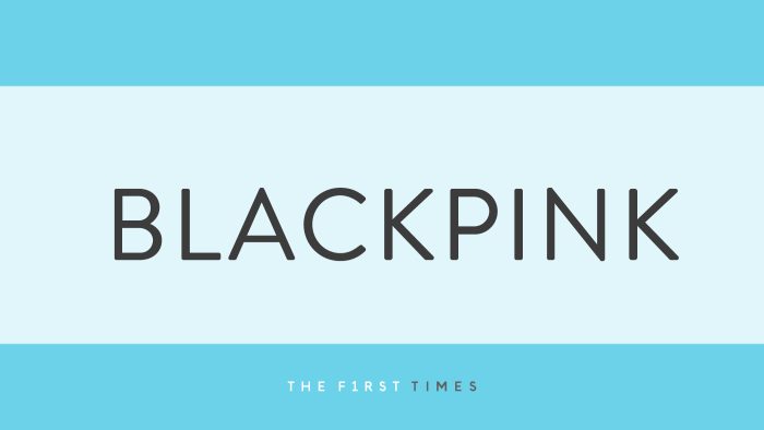 BLACKPINKジェニーがCalvin Kleinのカスタム衣装で『サマソニ』降臨！デニムルックに「オシャレすぎ」「スタイリスト神」「ケイト・モス参照なのアツい」と反響