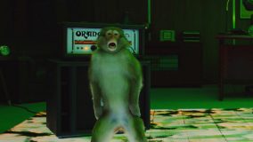 メンバーが猿に!? Official髭男dism、新曲「Anarchy」のティザー映像公開