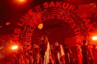 櫻坂46、『3rd single BACKS LIVE!!』が大盛況で幕！ - 画像一覧（30/32）