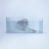 LE SSERAFIM・HUH YUNJIN、5曲目の自作曲「jellyfish」リリース＆イラストや手書き文字で構成したMVも公開