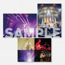 ボーカル＆ギターの片岡健太が撮影！ sumika、新作ライブ映像作品のジャケット写真公開 - 画像一覧（3/5）