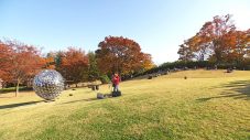 リトグリらが日本の四季を彩る美しい風景のなかでパフォーマンスを披露！特集番組『四季のうた』放送決定 - 画像一覧（21/26）