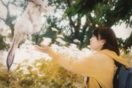 DREAMS COME TRUE、映画『カミノフデ ～怪獣たちのいる島～』主題歌を書き下ろし！ 特報も公開 - 画像一覧（3/3）