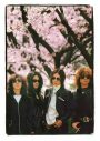 イエモン、『SPRING TOUR “NAKED”』先行上映会が全国5都市で開催決定 - 画像一覧（1/1）