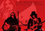 LOVE PSYCHEDELICO、デビュー20周年アニバーサリー映像作品よりライブ映像を3週連続公開 - 画像一覧（5/12）