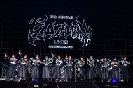 【ライブレポート】櫻坂46『BACKS LIVE!!』2days完遂！予定外のダブルアンコールも - 画像一覧（18/33）