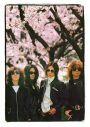 THE YELLOW MONKEY、『SPRING TOUR “NAKED”』先行上映会の追加公演が決定 - 画像一覧（1/4）