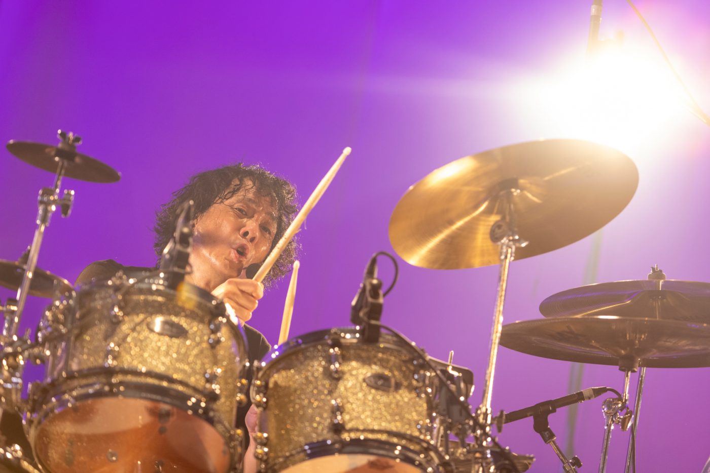 ザ・クロマニヨンズが案内するロックンロールのラビリンス。“今夜も”特別なツアー17本目を振り返る - 画像一覧（7/7）