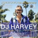 ZEROTOKYOの豪華周年イベントに、DJ HARVEY、Brodinskiが登場 - 画像一覧（4/5）