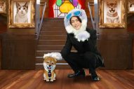 亀梨和也が犬の姿でテレ東初MC！新動物番組『世界を救う！ワンにゃフル物語 柴と三毛と亀梨くん』放送決定 - 画像一覧（1/4）