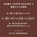 SUPER BEAVER・渋谷龍太、盟友・MOROHAアフロと本音トーク！「あいつは好感度の神様の息子です」 - 画像一覧（1/4）