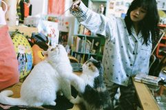 セントチヒロ・チッチ（BiSH）、愛猫エッセイで川島小鳥が本人自宅でプライベートの表情を切り取る